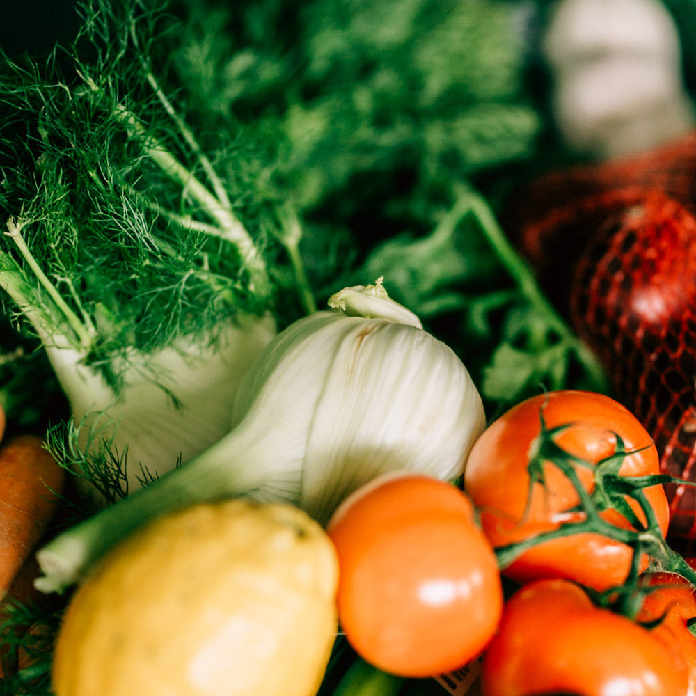 simplee sondennahrung für enterale ernährung mit gemüse und rein pflanzlich